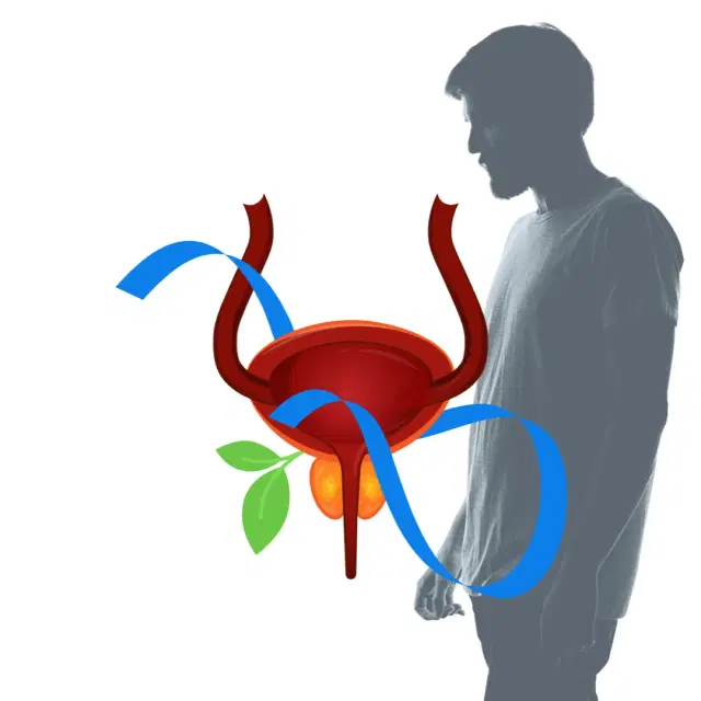 logo-category
