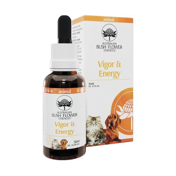 Bush Flower Essences Vigor & Energy Essenza per Animali, 30 ml