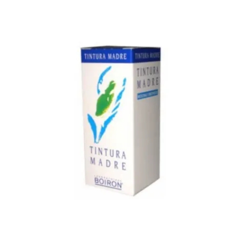  Boiron Cynara scolymus 60ml tm