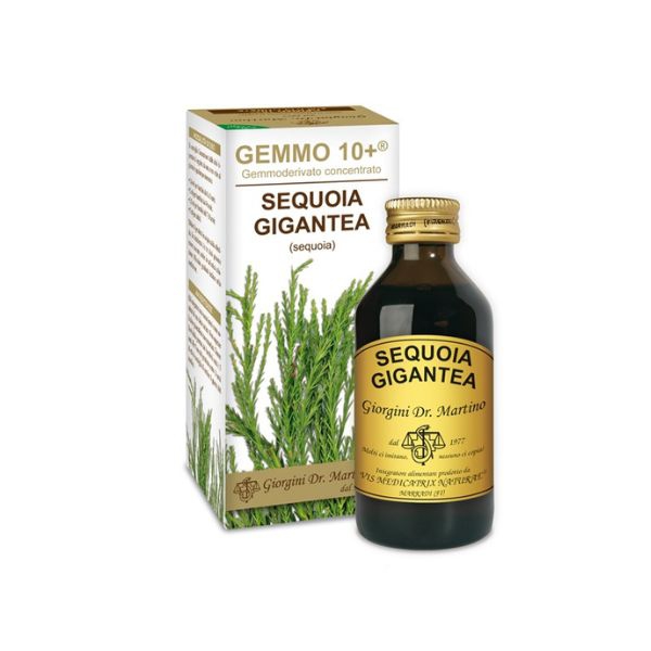 Sequoia Analcolico Gemmoderivato 500 ml