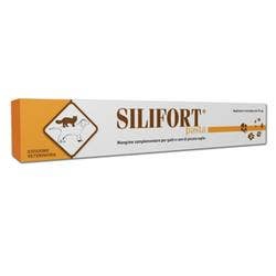 Ddf Silifort Pasta Disintossicante Cani e Gatti Siringa da 30 g