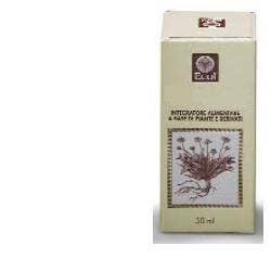 Ribes Nero Gemme Estratto Analcolico 50ml