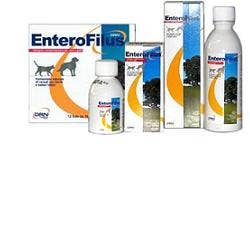 Drn Enterofilus Mangime Complementare Simbiotico Cani E Gatti 100 ml