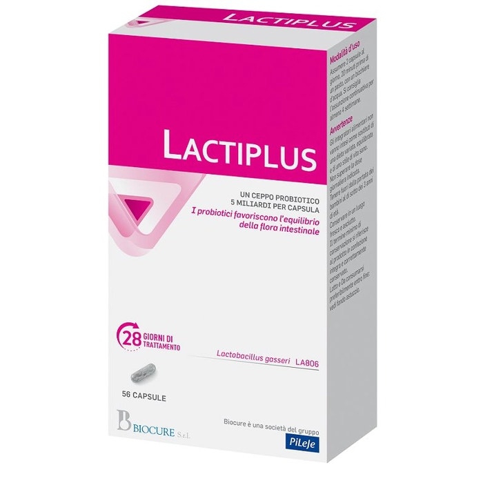 Lactiplus 56 Capsule