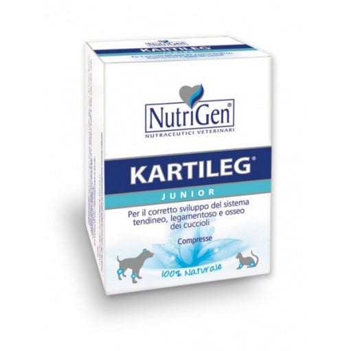 Kartileg Junior 60 Tavolette