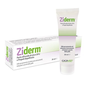 Ziderm Pasta All Ossido Di Zinco 30ml