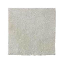 Biatain Alginate Ag Medicazione Per Lesioni Infette e Profonde 10x10 cm 10 Pezzi