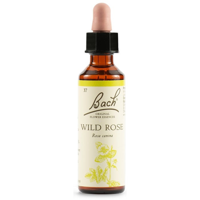 Schwabe Fiori di Bach 36 Wild Rose Gocce 20 ml