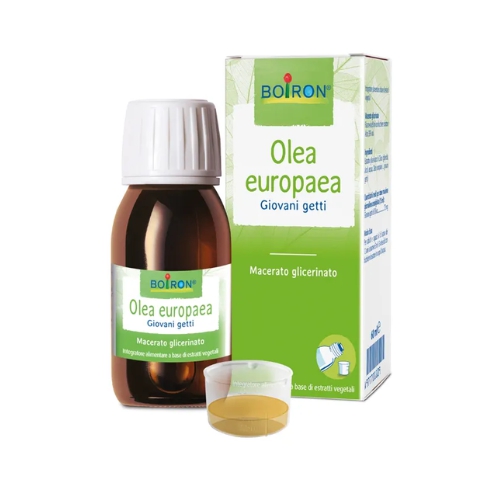 Boiron Olea Europaea Giovani Getti Integratore di Estratti Vegetali 60 ml