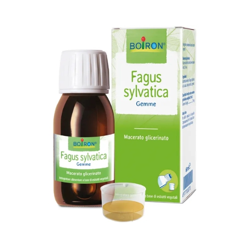 Boiron Fagus Sylvatica Macerato Glicerinato 60ml