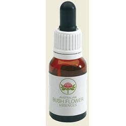 Mint Bush Gocce 15ml